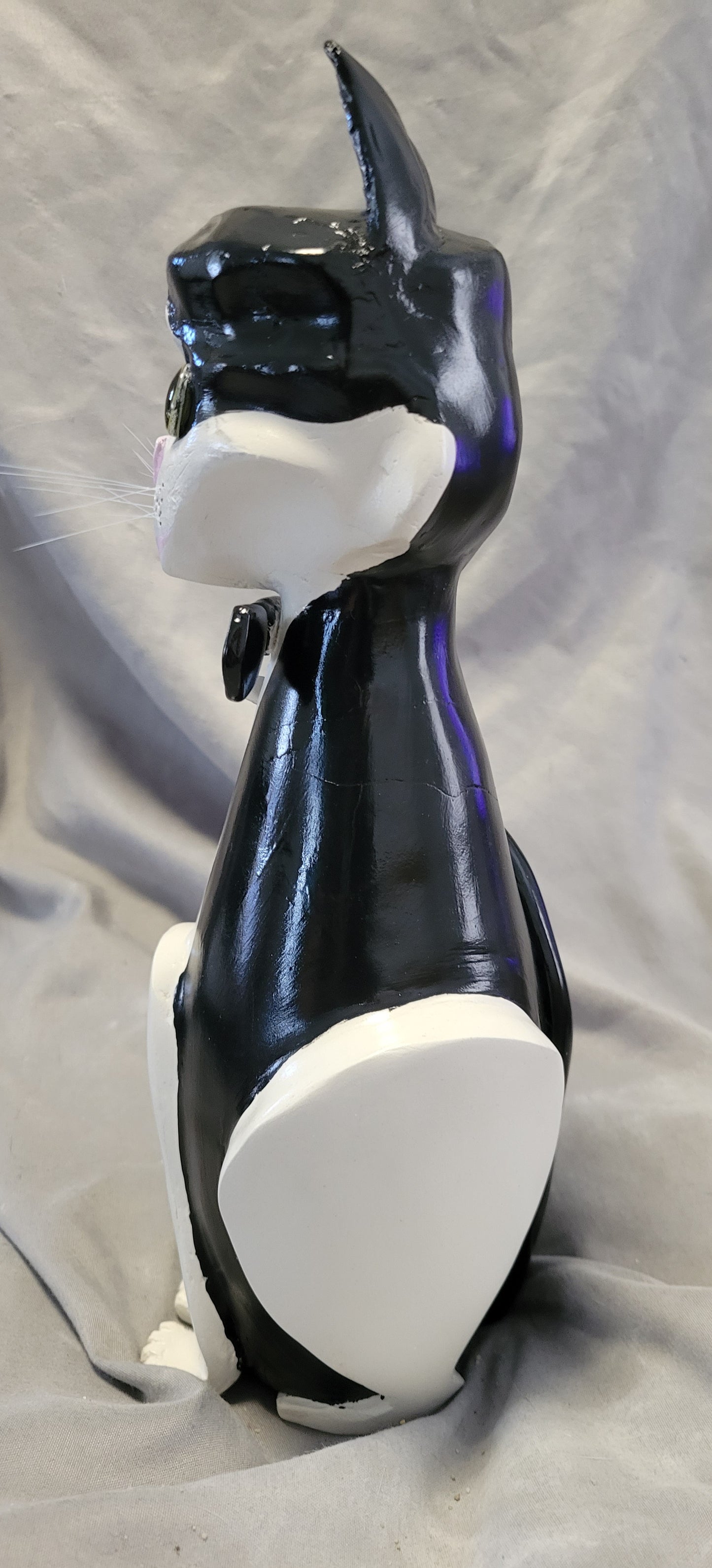 Tuxedo Cat