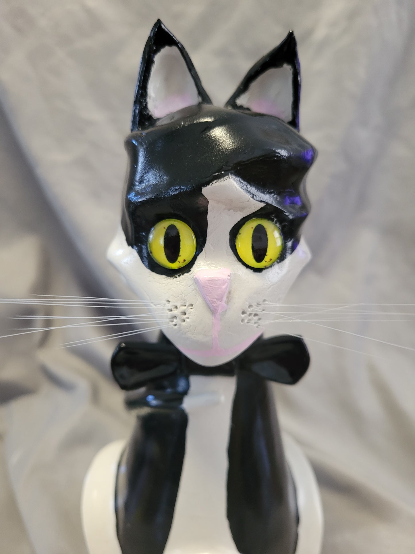 Tuxedo Cat
